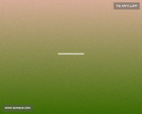 郭士强谈男篮复苏之道及国家队选人标准五大原则