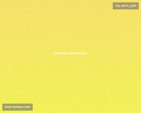 雅凯加盟阿森纳传闻汇总 罗马诺队报及法国媒体最新报道分析